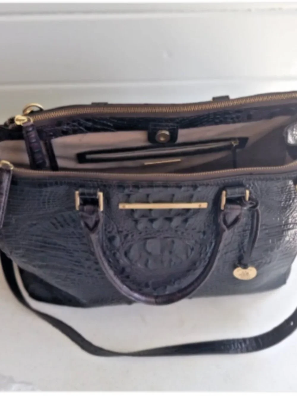 Brahmin asher satchel